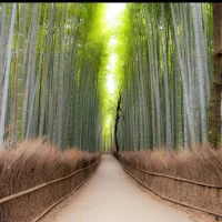 Slider Img